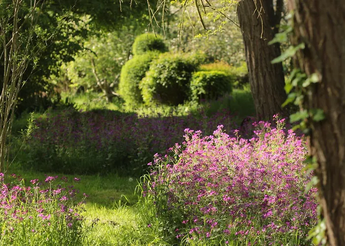 Le Chant Du Coucou Laigne-en-Belin