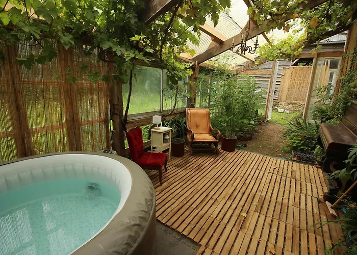 Le Chant Du Coucou *