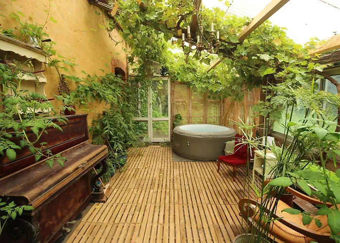 Le Chant Du Coucou *