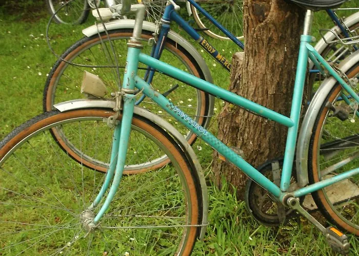 Le Chant Du Coucou Tatil Evi *